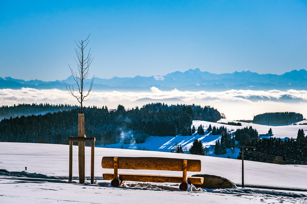 Alpen-Bnkle Herrischried Bhl